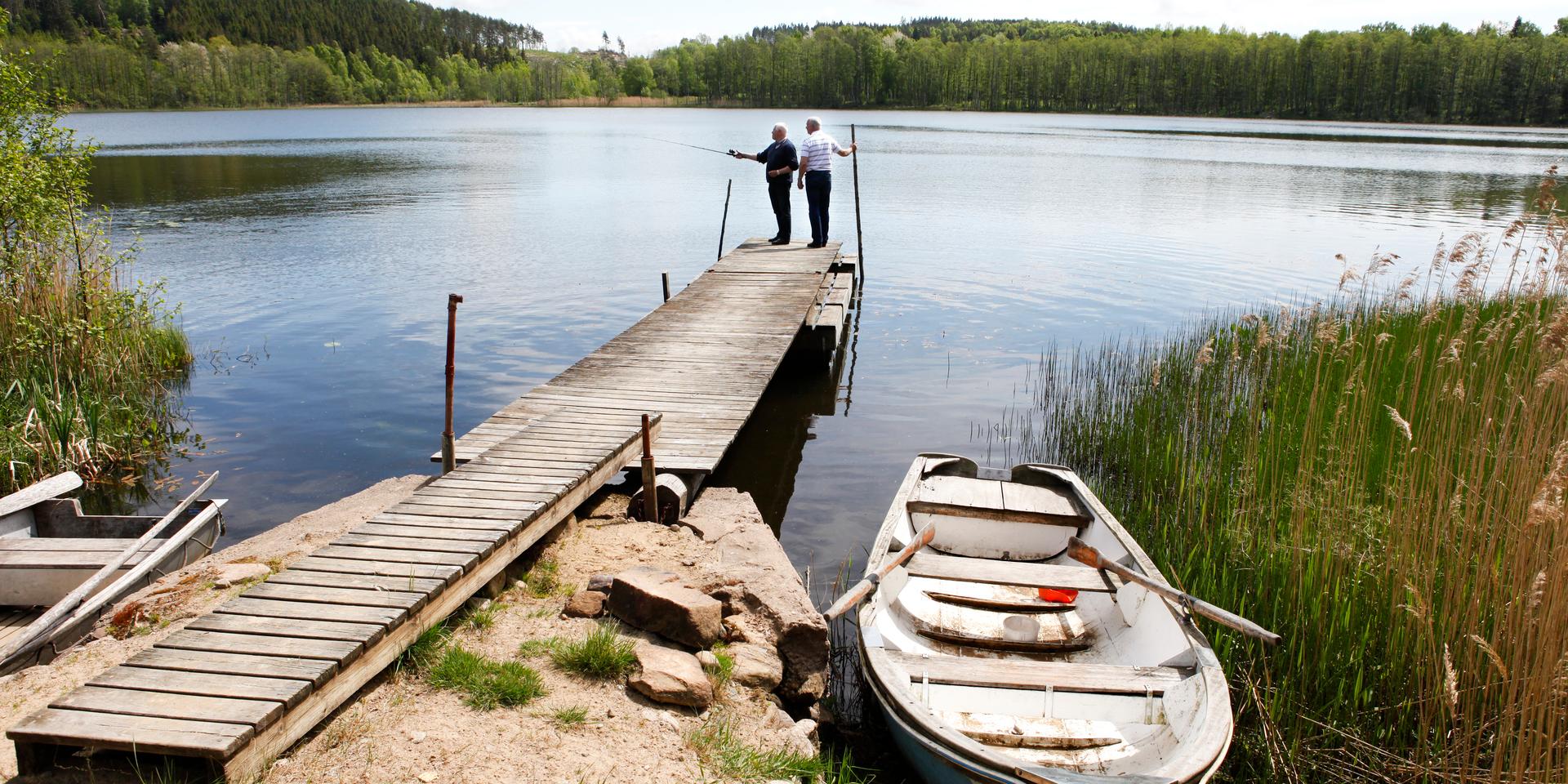 Den större Iglasjön ligger i Valinge, cirka två mil från den försurade Iglasjön i Veddige.