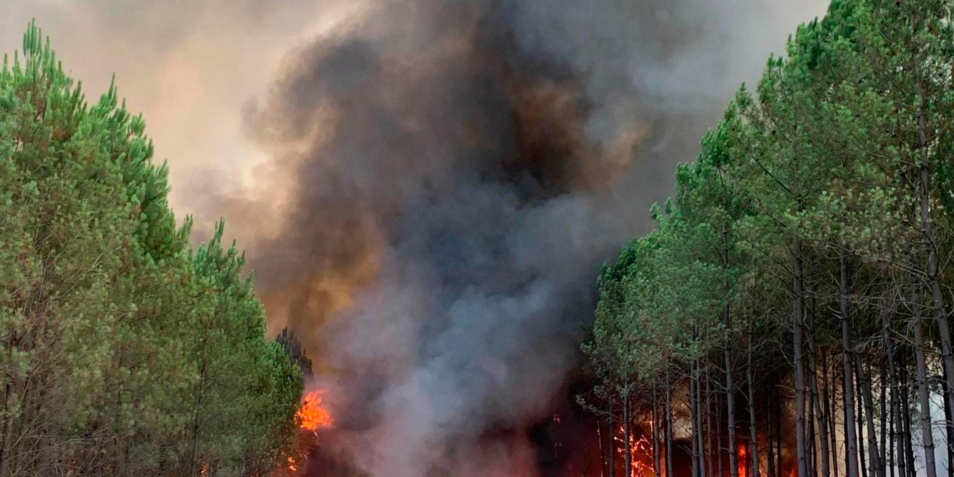 Skogsbränder härjar återigen i sydvästra Frankrike.