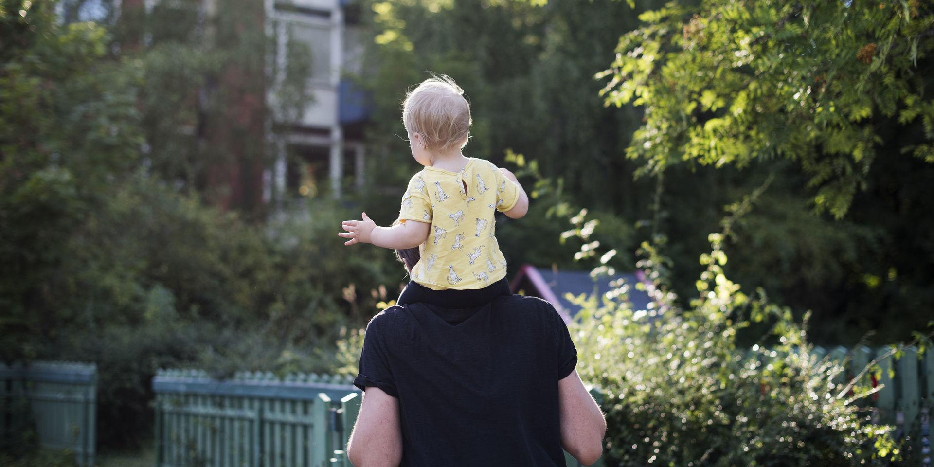 STOCKHOLM 20160721
Föräldraledig pappa går med sitt barn på axlarna
Foto: Izabelle Nordfjell / TT / kod 11460