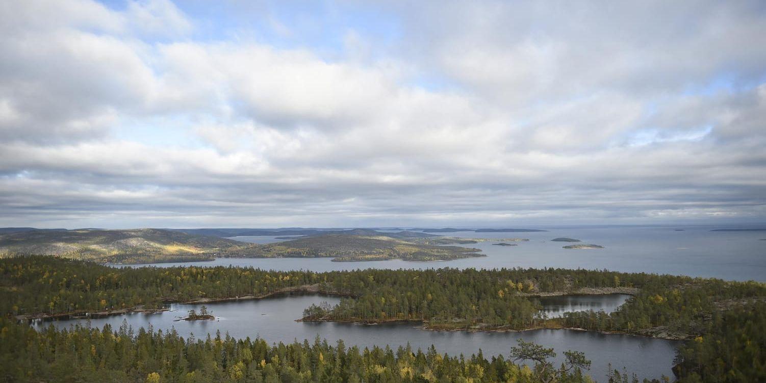 Vy över Skuleskogens nationalpark i Ångermanland. Arkivbild.