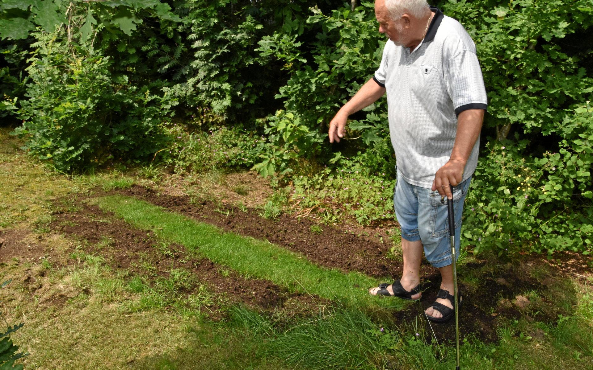 Efter att ha röjt bort snårbuskar körde Frank ut säckar med jord och rullade på gräsmattan.
