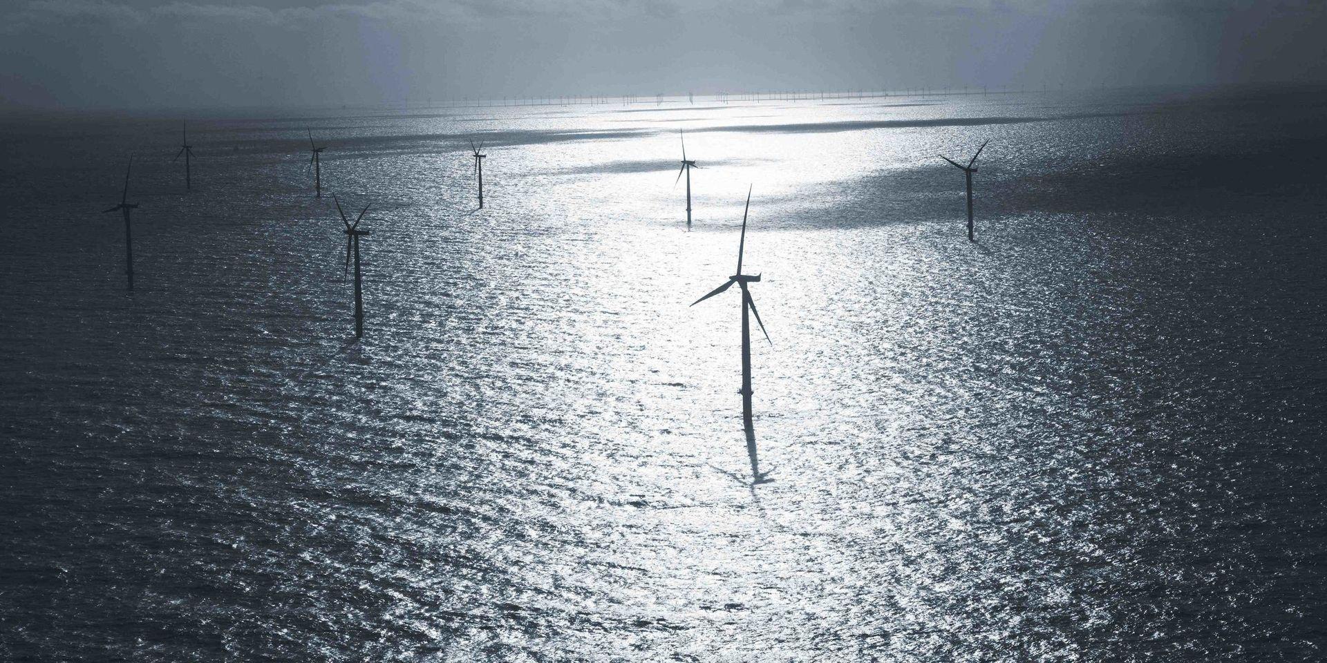 OX2 AB vill bygga mellan 50 och 83 vindkraftverk, upp till 325 meter höga, i Kattegatt utanför Varberg och Falkenberg. Företaget undersöker nu projektets påverkan på Kattegatts Natura 2000-områden. Bilden är från en vindkraftspark i Nordsjön.
