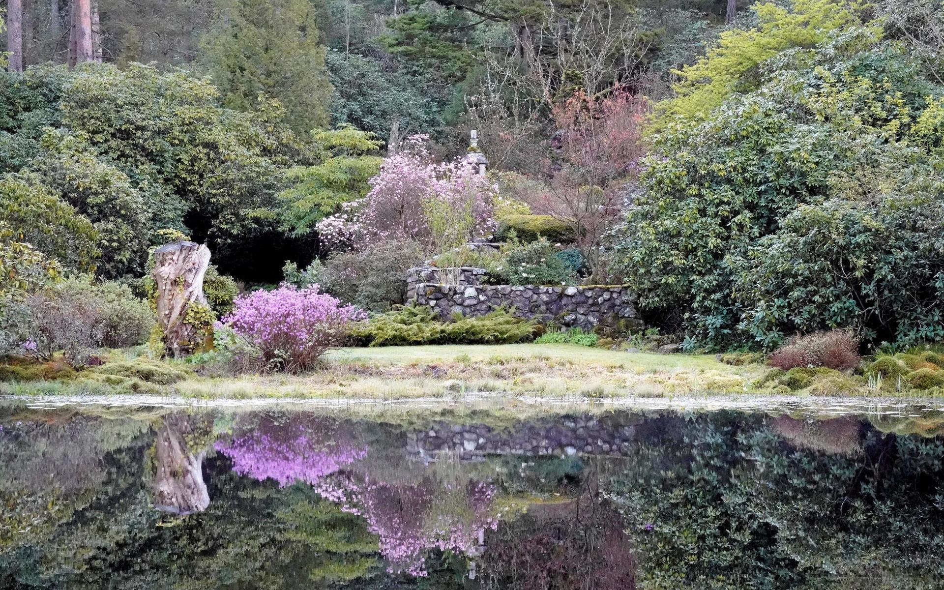 Klippträdgården, som skymtar bakom dammarna, är ett trädgårdsrum som är inspirerat av Japan. Ett antal små stenvägar leder uppför kullen, där det också rinner en bäck med små vattenfall. 