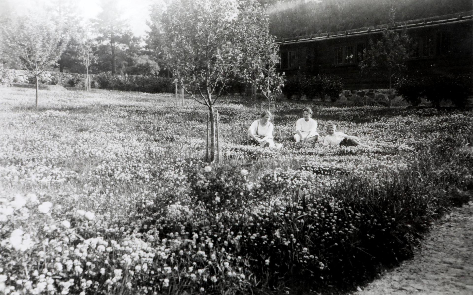 Det var 1917 som Ruth och Sigfrid Ericson bestämde sig för att skaffa en sommarbostad nära Breared, som var Ruths hemby. De köpte 14 hektar mark utanför Simlångsdalen av kyrkan och satte igång att skapa det som skulle bli den unika skogsträdgården Vargaslätten.
