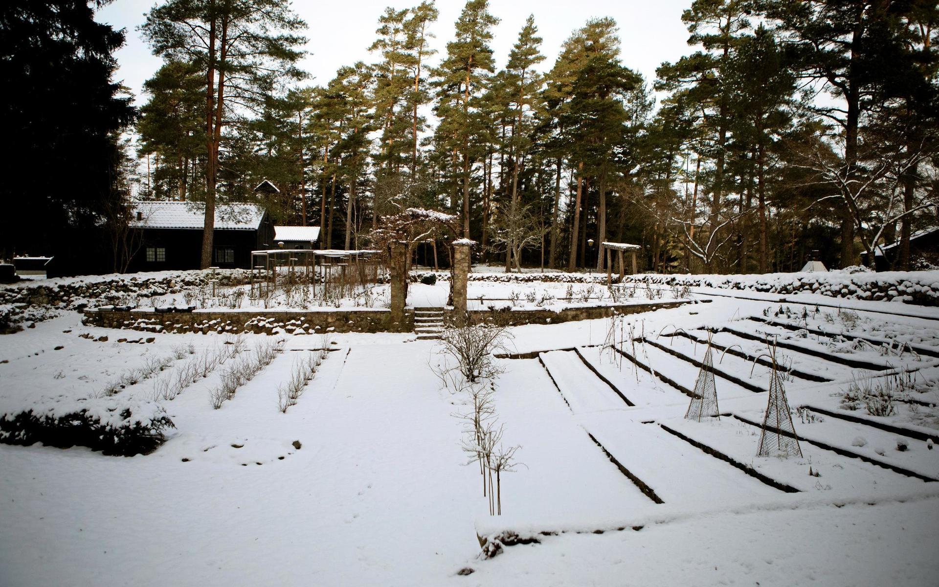 Köksträdgråden (eller Terrassträdgården, som den också kallas) i vinterdvala. 