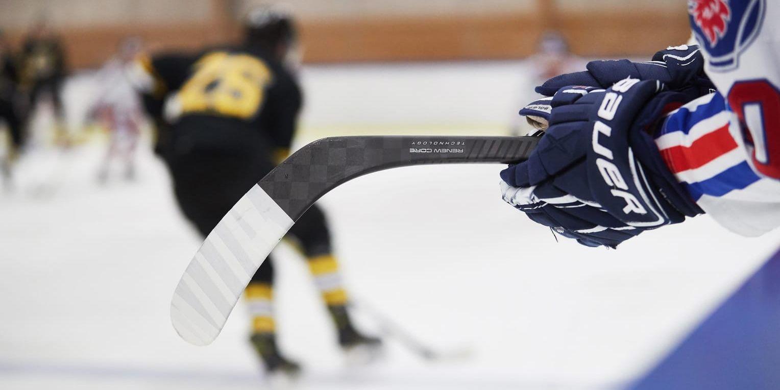 Hockeyettan avvisar Svenska ishockeyförbundets utredning om det nya seriesystemet på herrsidan.