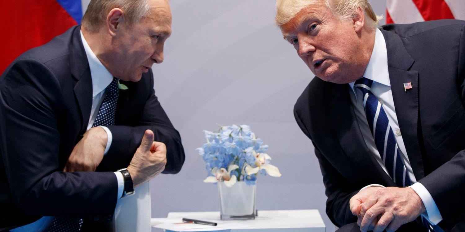 Donald Trump och Vladimir Putin har mötts tidigare. Här samtalar de under ett G20-möte förra året.