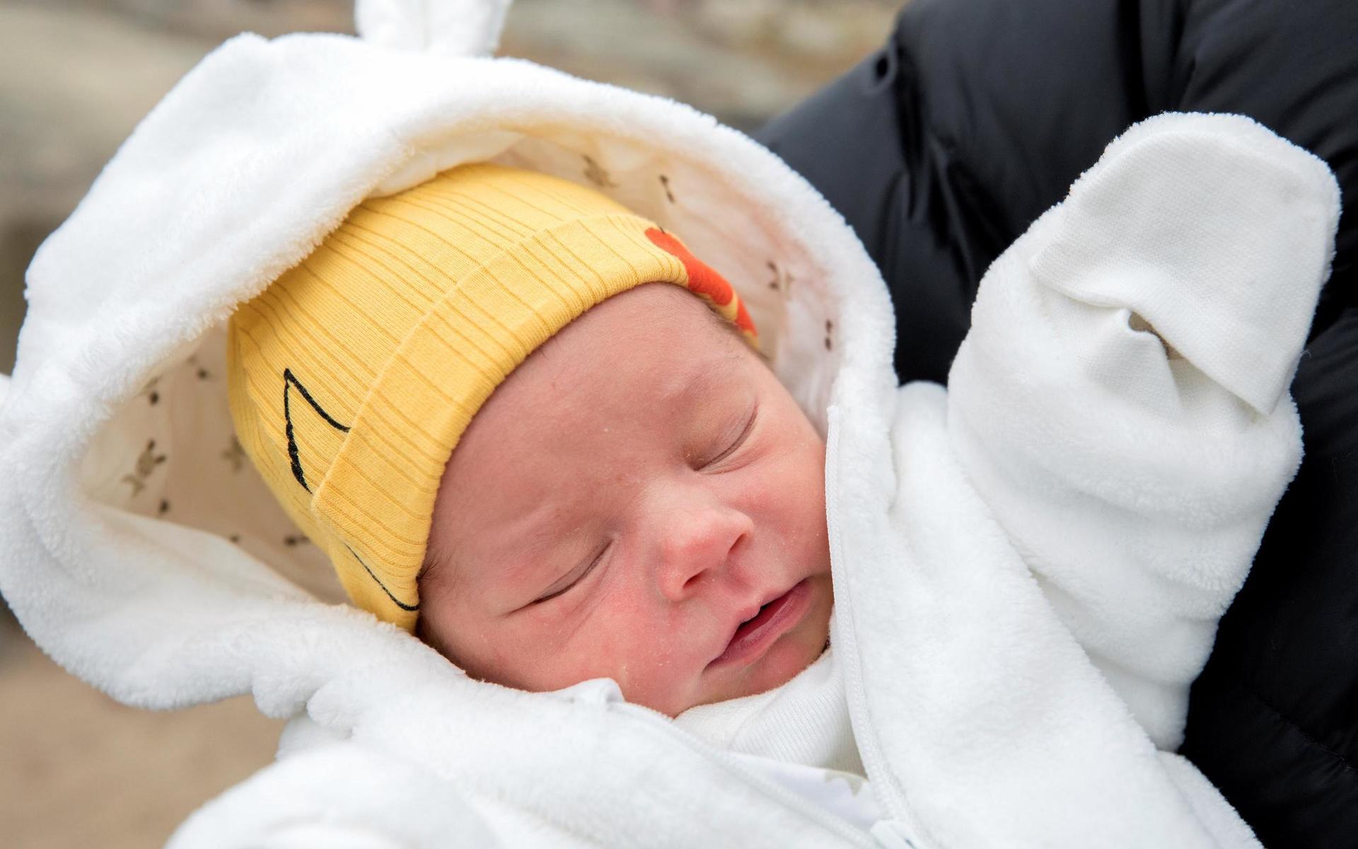Den lilla dottern, som föddes 28 februari, ger ett lugnt intryck när hon blir fotograferad av Hallands Nyheter.