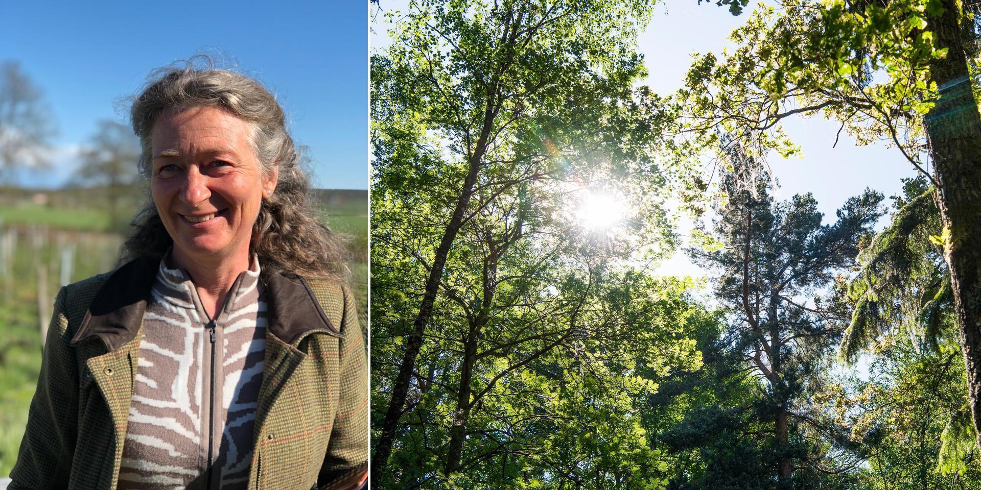 Som skogsägare av tredje generationen drivs jag av ett ansvar att vårda och bruka den skog som tidigare generationer skapat, skriver Mathilda Clausén Wingårdh