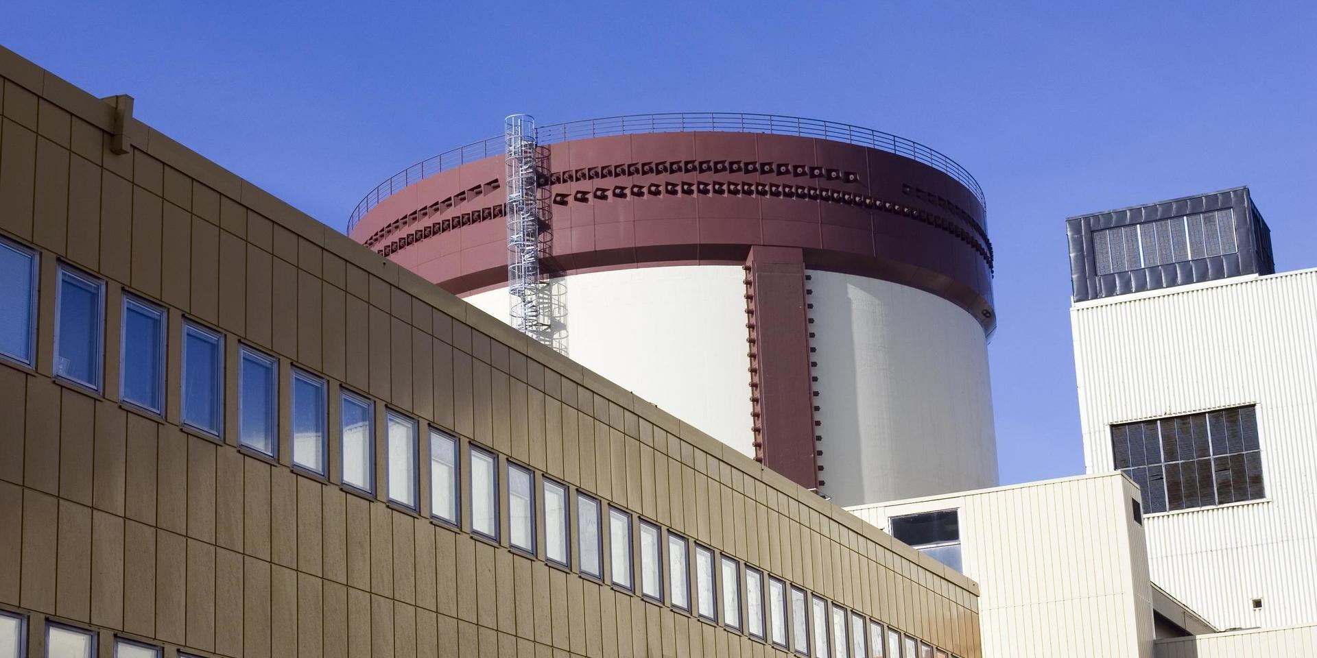 Ett forskningscentrum som fokuserar både på produktion, distribution och lagring av energi skulle med fördel kunna utgå ifrån Ringhals när reaktorerna där är stängda, skriver debattörerna.