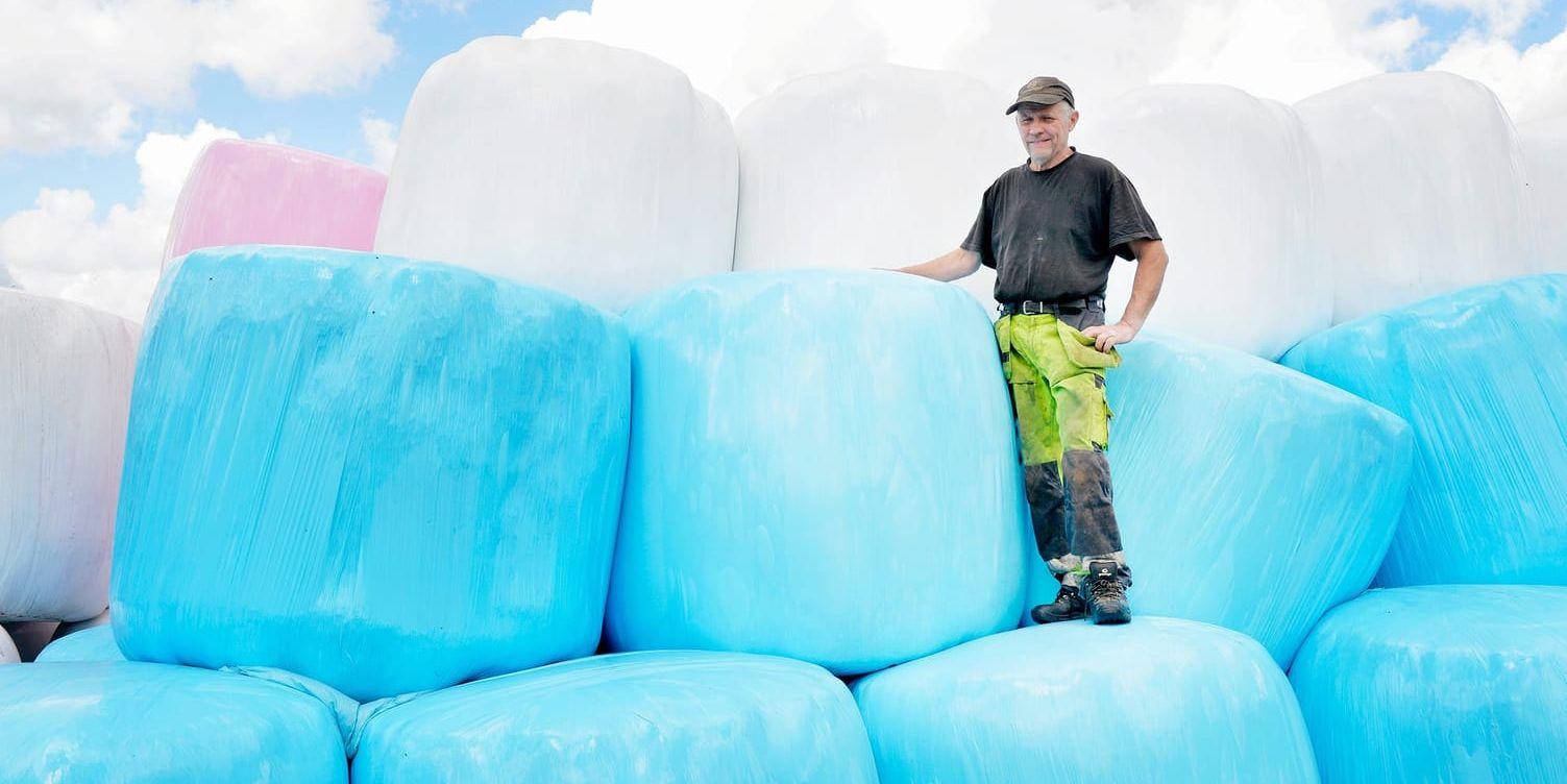 Färgglada ensilage. Lantbrukaren Bertil Gunnarsson har ungefär 900 blå och rosa höbalar i sommar.
