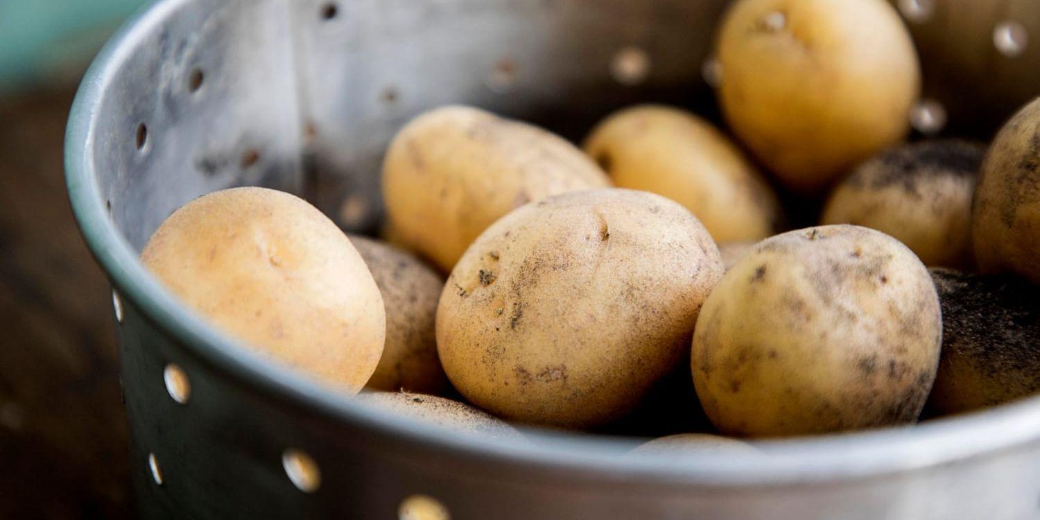 Priset på potatis som köps i lösvikt har stigit med 27 procent mellan maj 2018 och maj i år. Arkivbild.