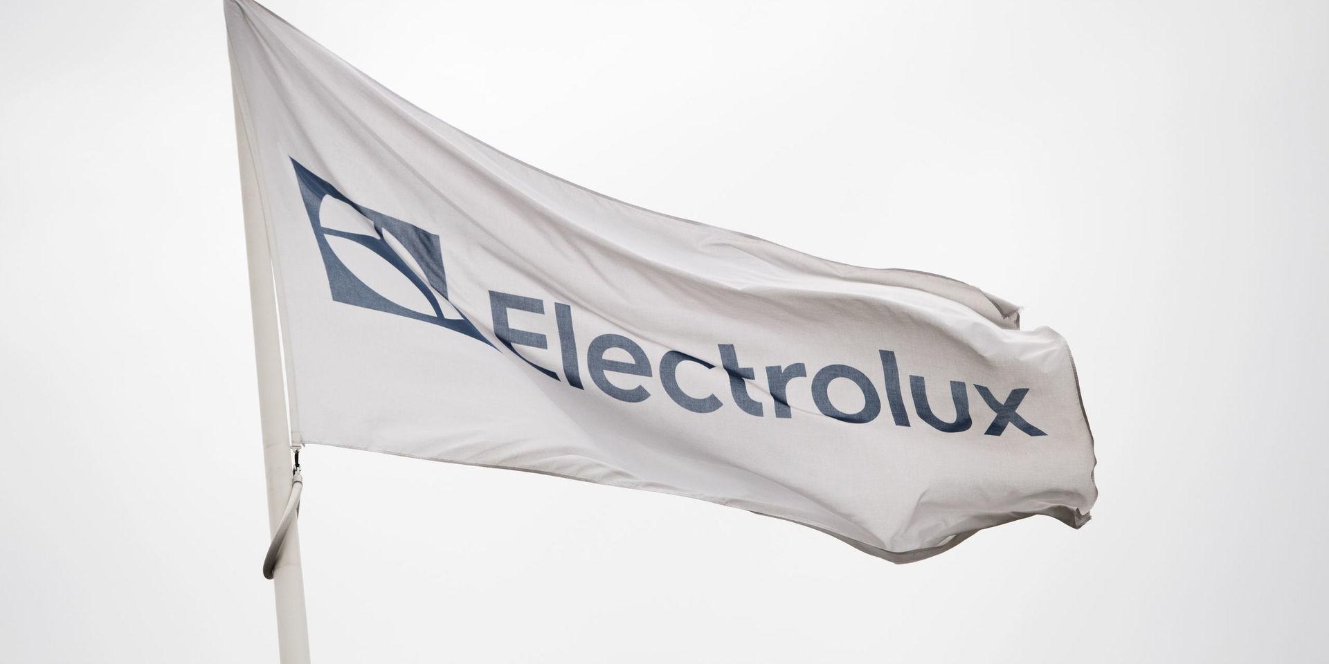 Vitvarujätten Electrolux vinstvarnar för det fjärde kvartalet sedan verksamheten i Nordamerika har fått oväntat höga kostnader. Arkivbild.