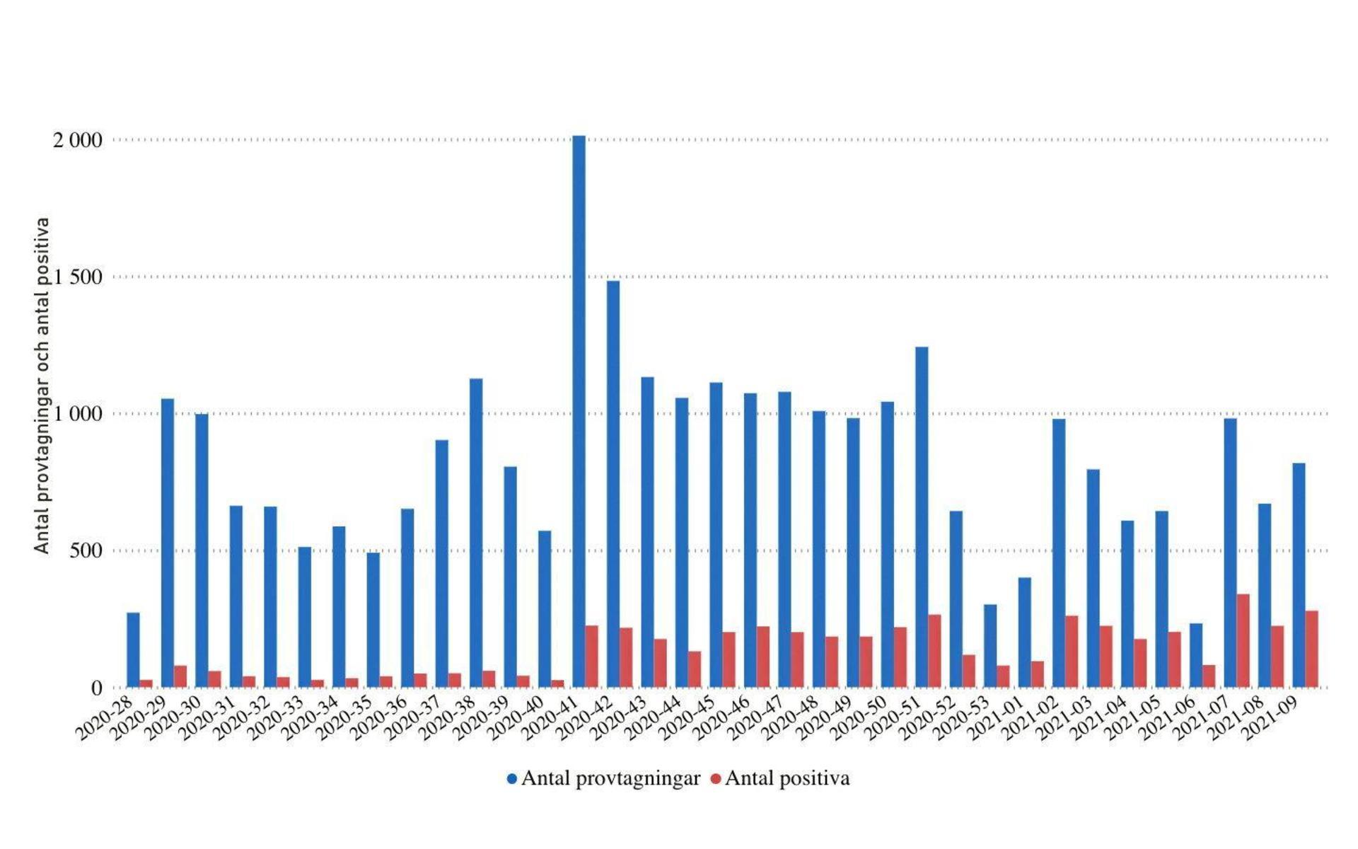 Statistik över antal gjorda antikroppstest och antal positiva testresultat. Under vecka 9 gjordes 818 provtagningar, 279 visade på antikroppar.