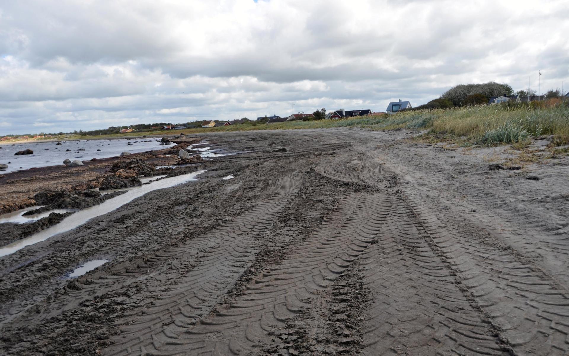 Den privata delen av Glommens strand städades efter ett medborgarförslag. 