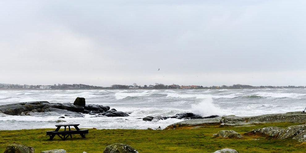 Rejäla vågor i Apelviken i Varberg på fredagsförmiddagen.