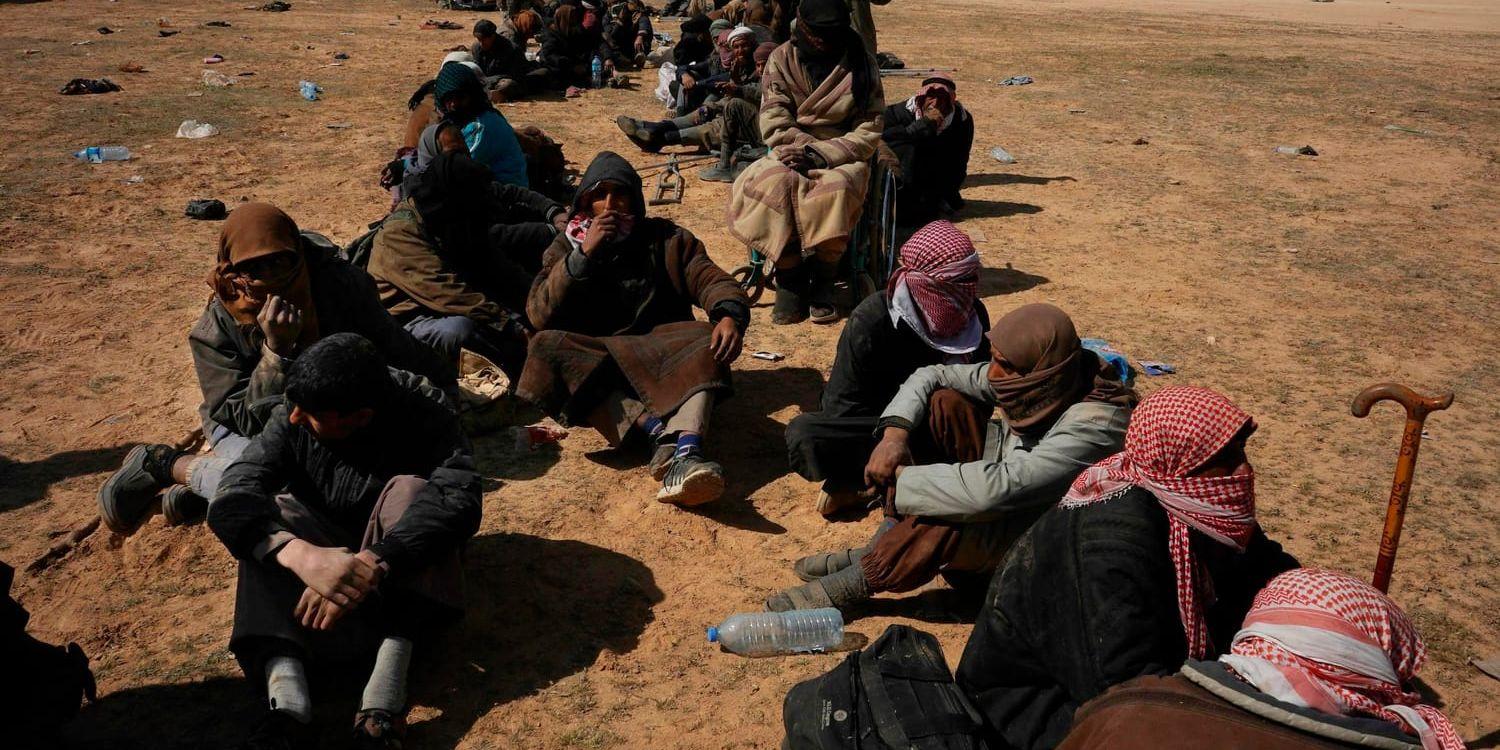 En grupp män väntar på att bli genomsökta efter att ha lämnat terrorgruppen IS sista fäste al-Baghuz i norra Syrien. Runt 800 utländska medborgare som rest till Syrien för att ansluta sig till IS befinner sig i SDF-milisens förvar.