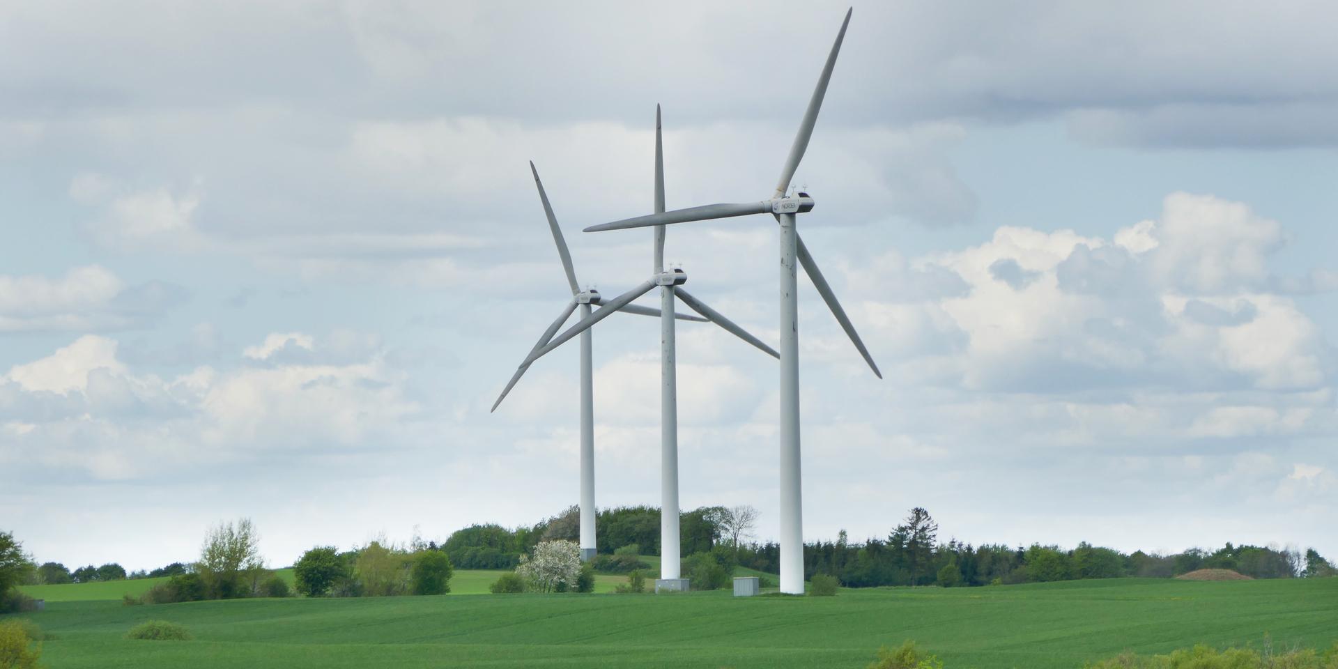 En stor vindkraftspark planeras utanför Veddige.