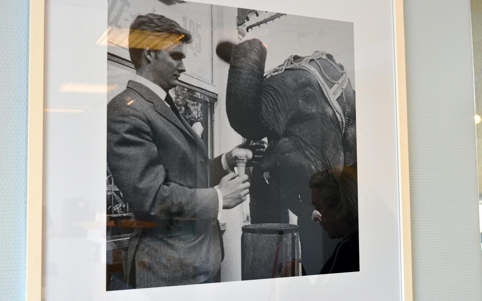 Här är förklaringen bakom namnet Will and the Elephant. Bilden visar Alex pappa William som blev bästis med en elefant på 1960-talet. En elefant som älskade glass. 