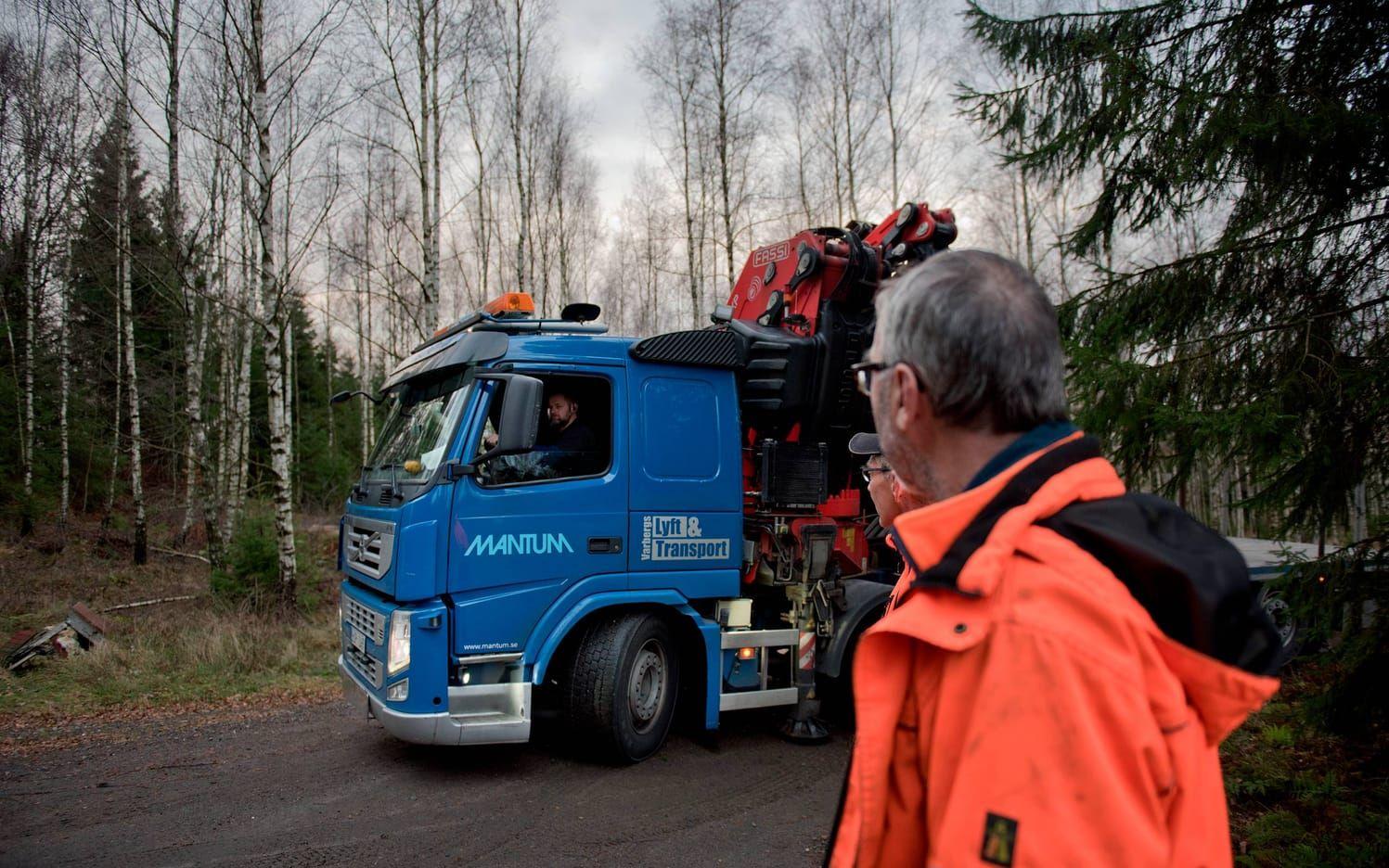 Magnus Ljungqvist kom med sin kranbil. Han har under flera års tid varit med och hämtat granar till torget i Varberg. Bild: Erika Arnadottir