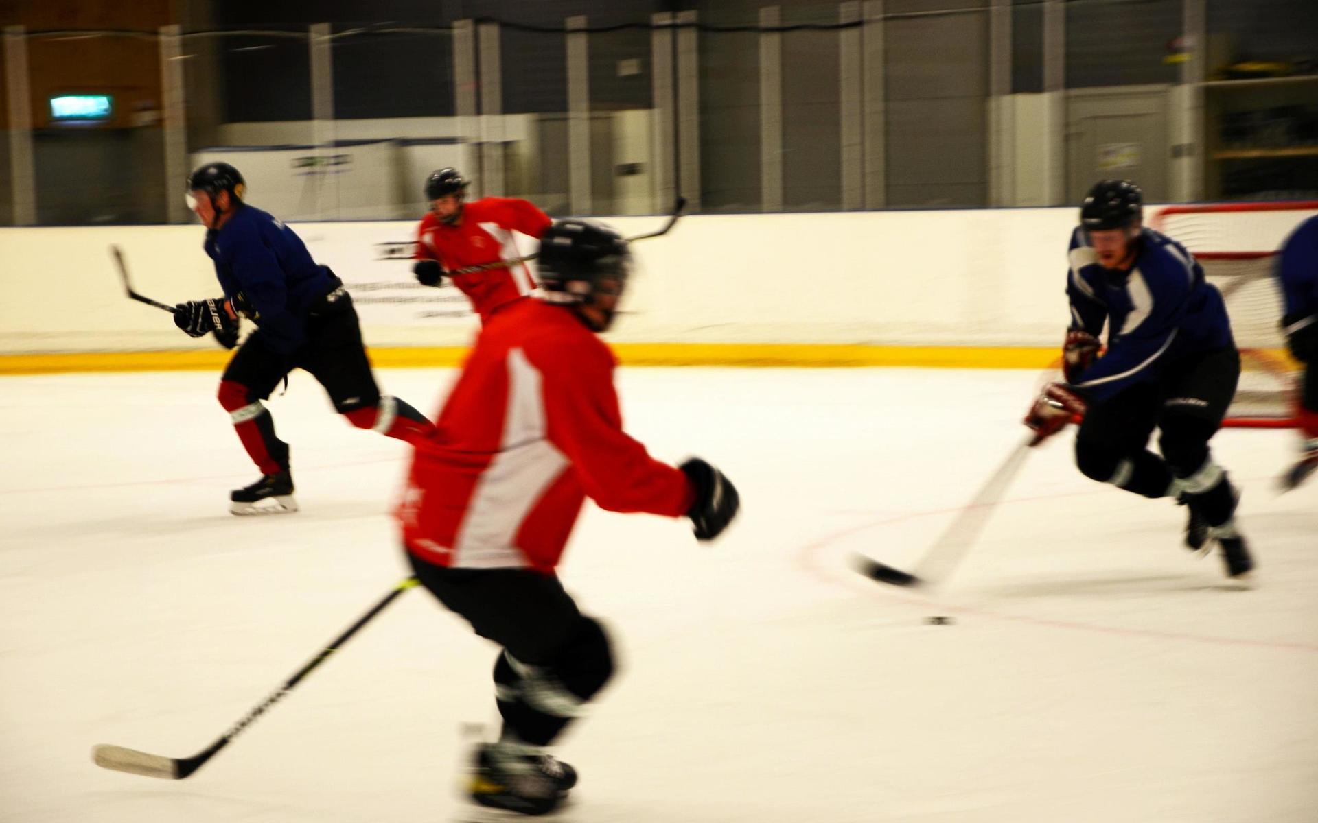 Falkenbergs hockeys seniorlag, som lades ned 2013, har startat upp sin verksamhet igen. I början på november startar seriespelet i division 4 Göteborg.