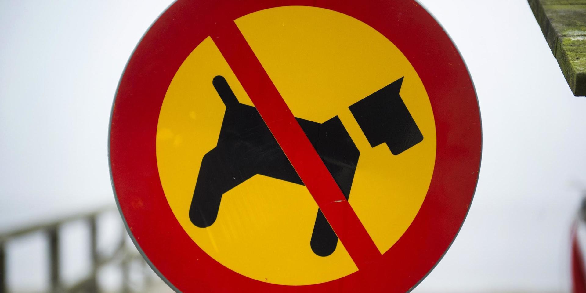Bötfälla bilister går bra, men hundägare som trotsar förbudsskyltar går fria, skriver insändarskribenten.