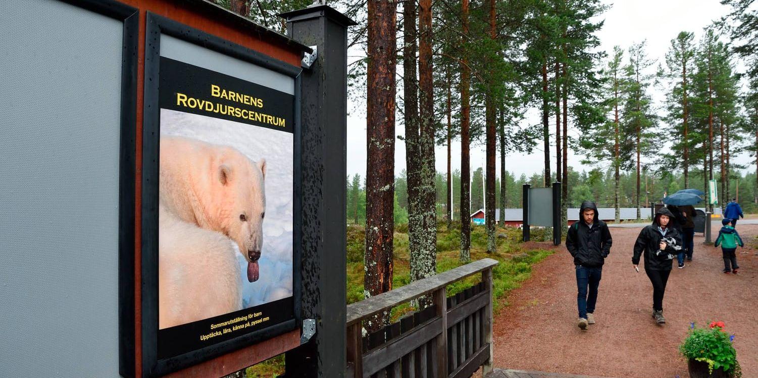 Den djurskötare vid Orsa Rovdjurspark som blev angripen av en björn avled av sina skador.