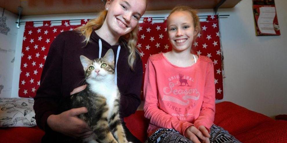 Busig vinnare. Syskonen Ellen och Johanna Nilsson trivs med familjens bondkatt Charlie, som är Årets Lussekatt.