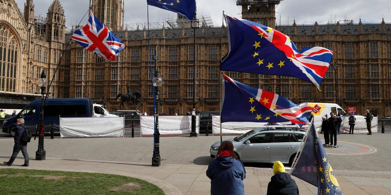 Demonstranter utanför Westminsterpalatset i London.