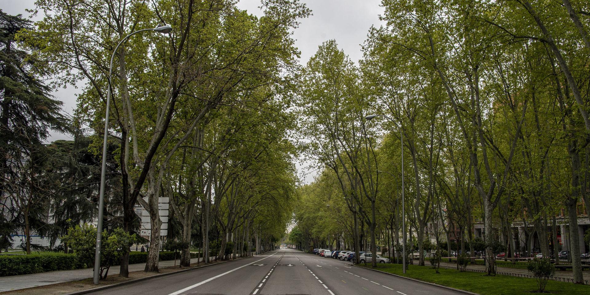 En tom gata i Madrid under coronakrisen. 