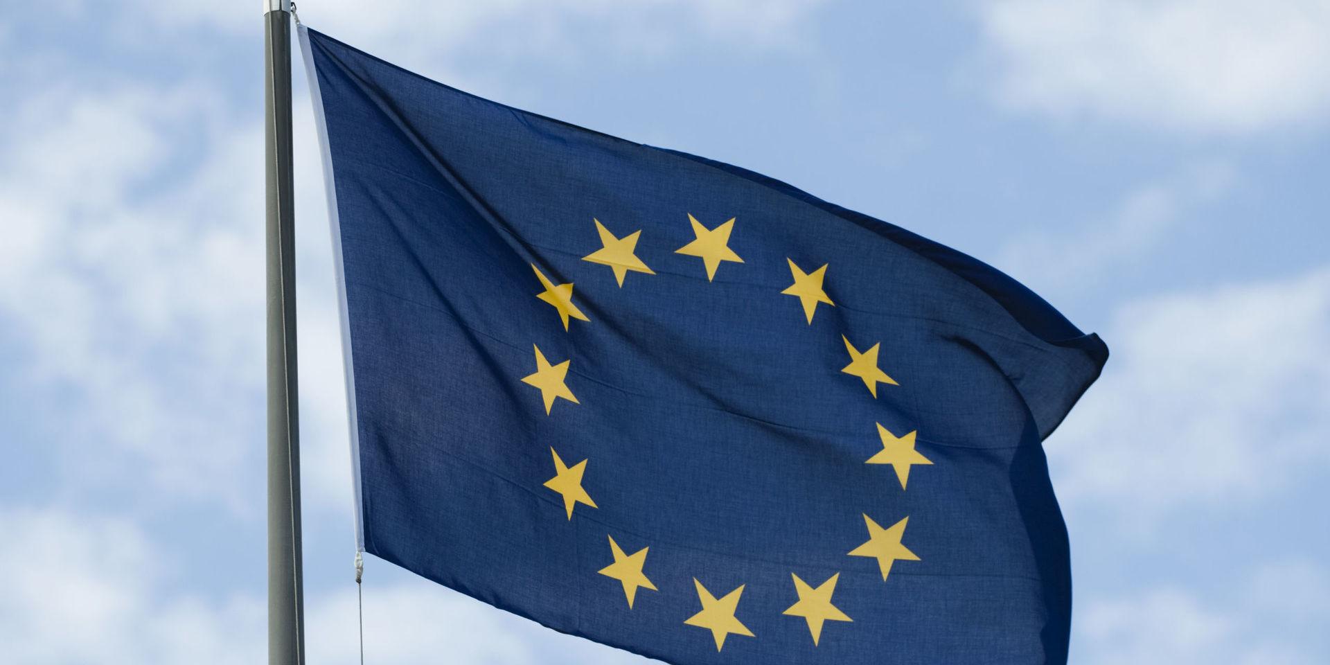 Rösta för ett demokratiskt Europa, uppmanar insändarskribenten.