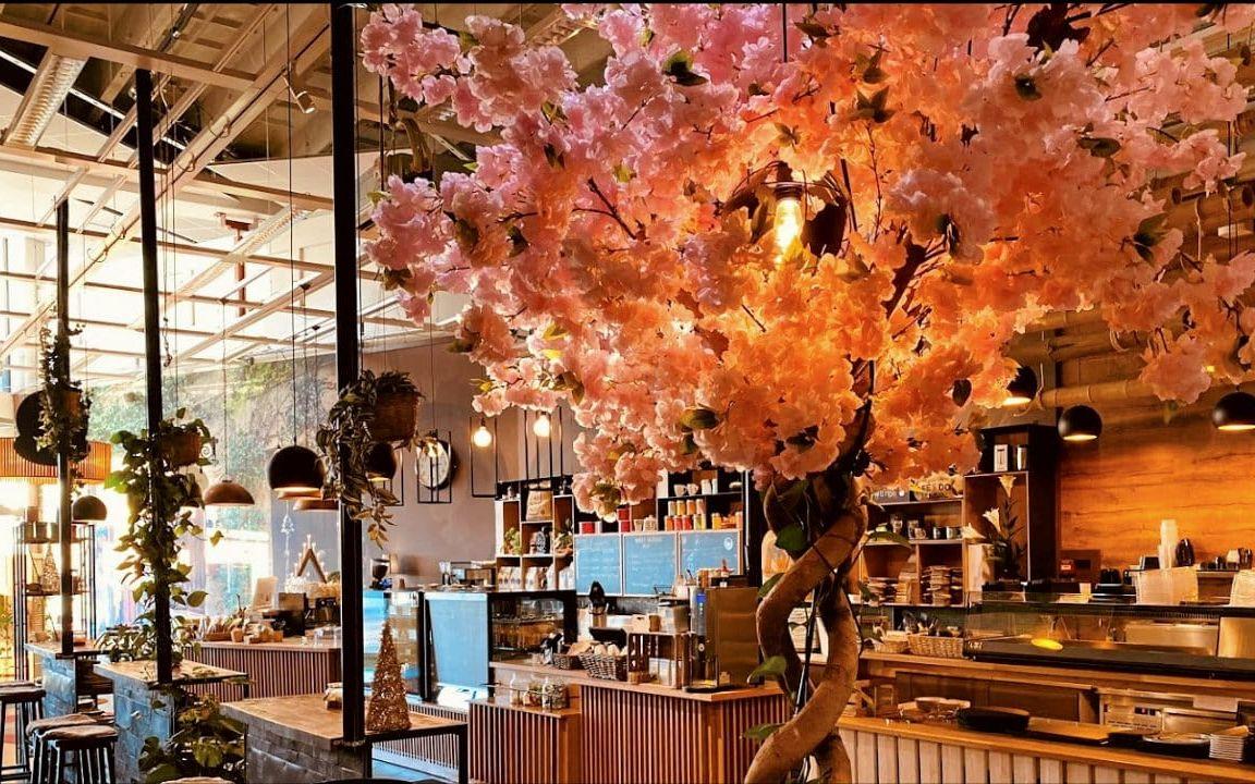 A&M sushi öppnar i Linnea & Basilikas lokaler i Gallerian i Falkenberg.