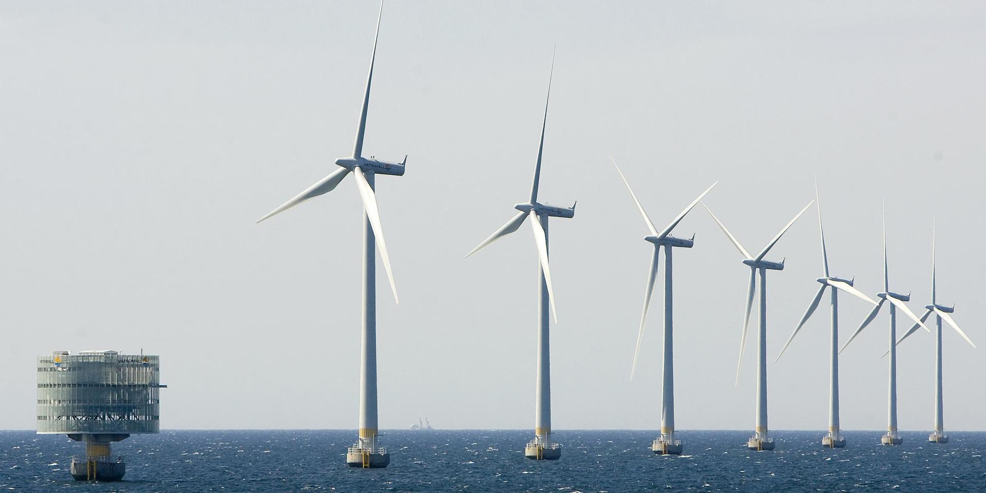 Omfattande tillståndsprövningar är ett av hindren för en snabbare utbyggnad av vindkraft till havs i Sverige, enligt branschorganisationen Svensk vindenergi. Arkivbild.
