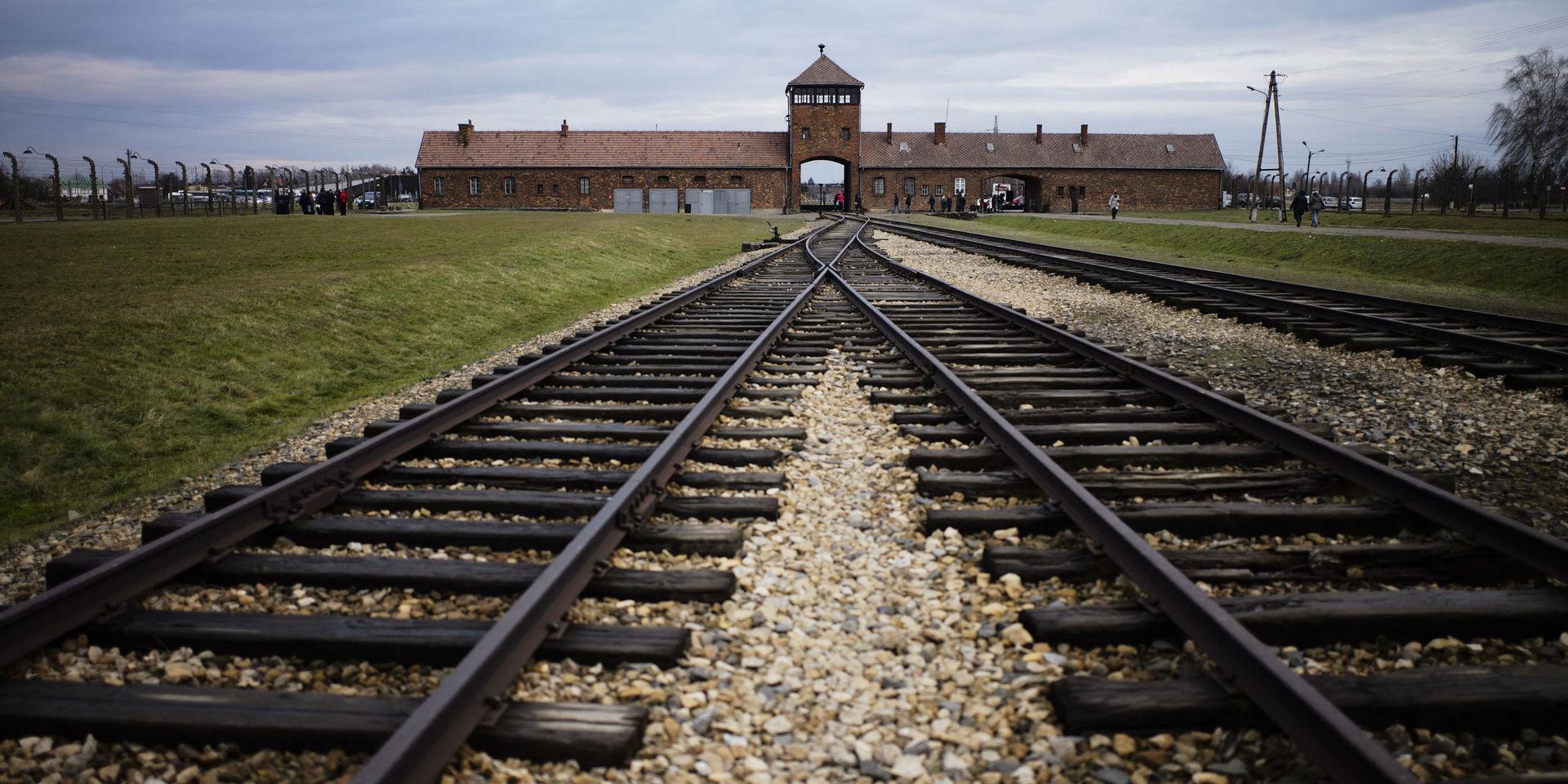 Auschwitz-Birkenau var ett kombinerat koncentrations- och förintelseläger, som bestod av tre stora lägerkomplex – Auschwitz, Birkenau och Monowitz – samt ett fyrtiotal satellitläger. I förgrunden ses de järnvägsspår på vilka tusentals människor fördes till gaskamrarna och mördades. Arkivbild. 