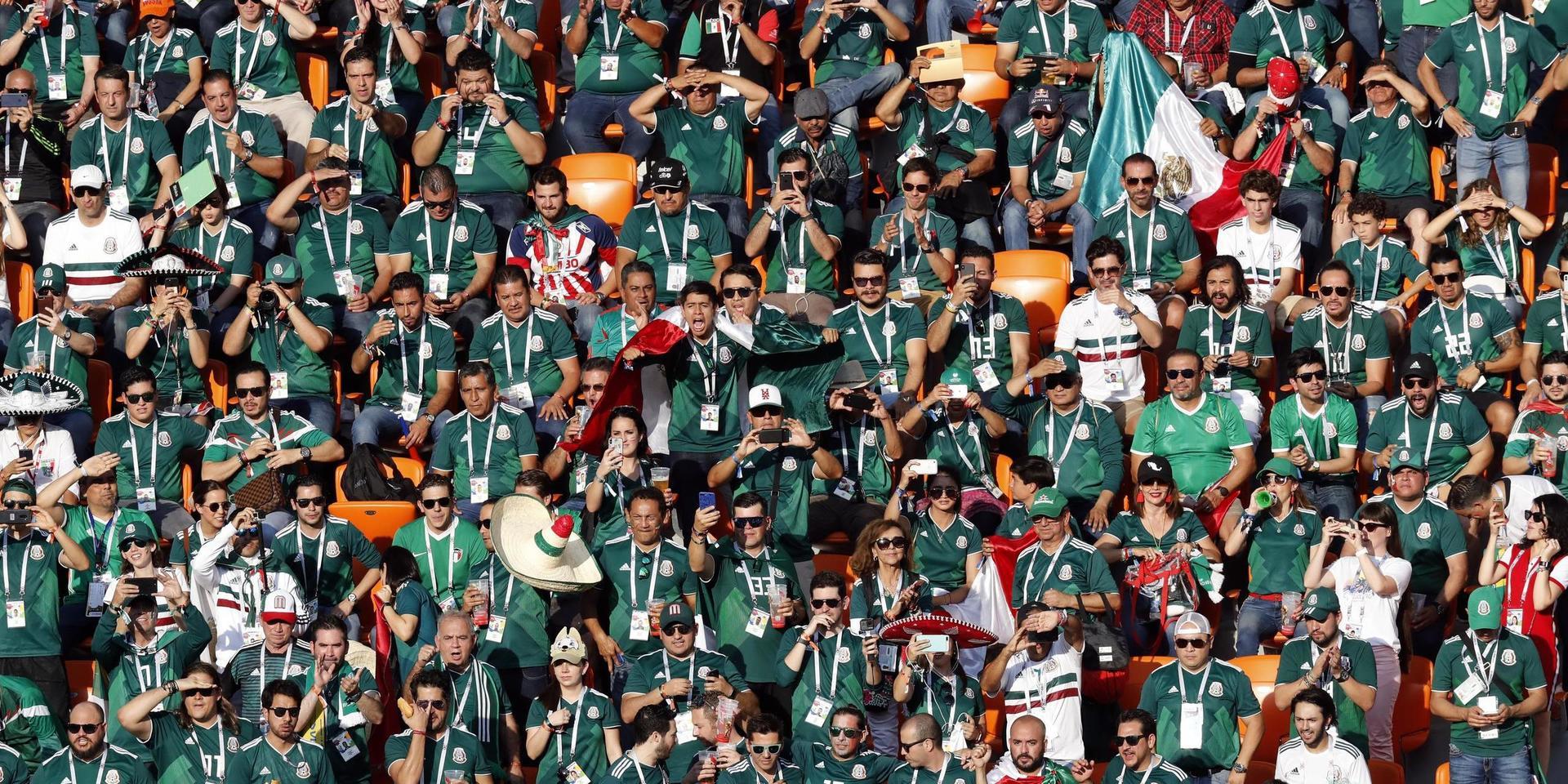 Mexikos fotbollsförbund straffas efter homofobiska ramsor från landslagssupportrarna. Arkivbild.