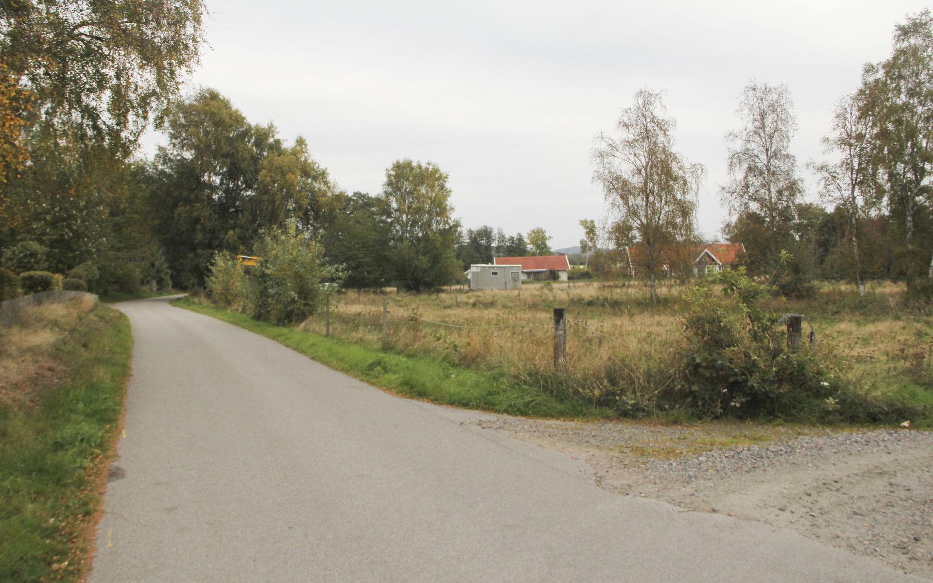 Buaråsvägen på norra delen av Trönningenäs har delvis behållit ursprunget. Dungar och ängar har överlevt hittills. Men nu görs arkeologiska arbeten.