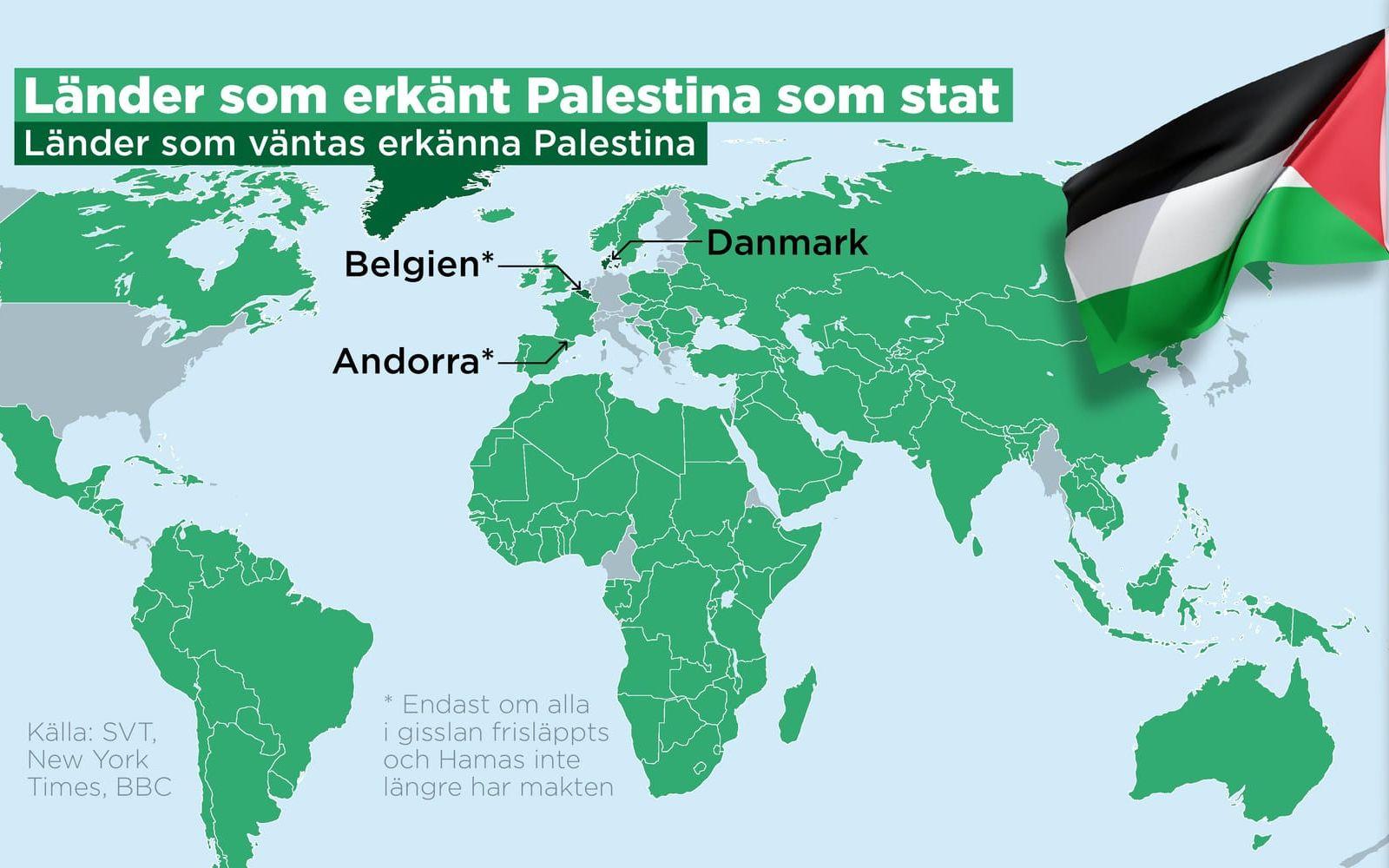 Kartan visar länder som erkänt Palestina som stat samt de länder som förväntas göra det inom kort.