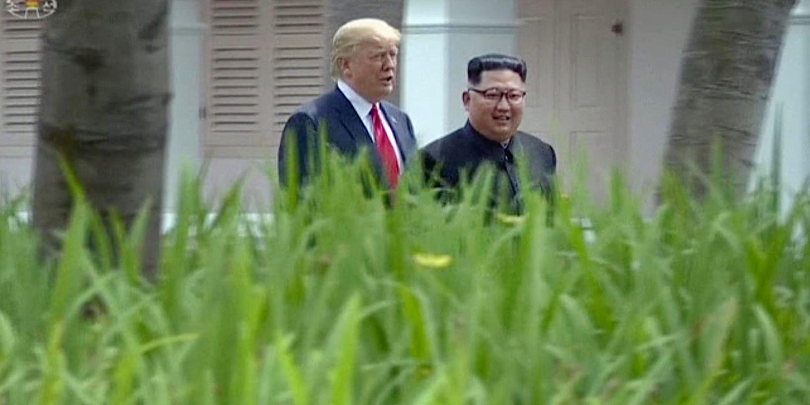 USA:s president Donald Trump under sitt möte med Nordkoreas diktator Kim Jong-Un i mitten av juni.