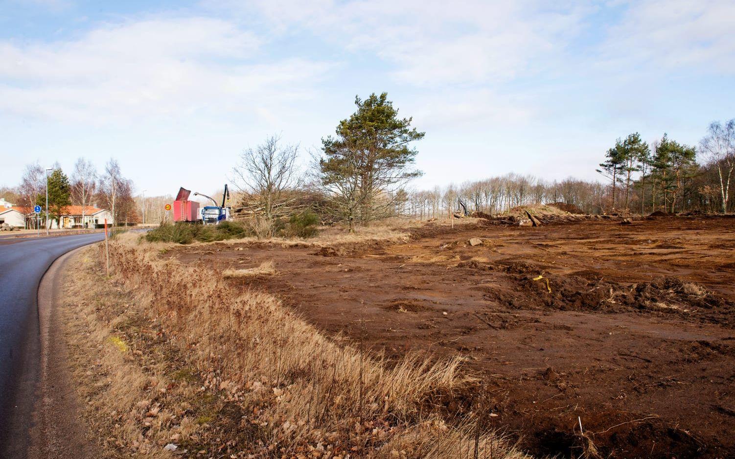 Redo för byggstart. Marken utmed Arvidstorpsvägen bakom Solhaga har röjts på träd, buskar och sly. Bilder: Edith Camilla Svensson