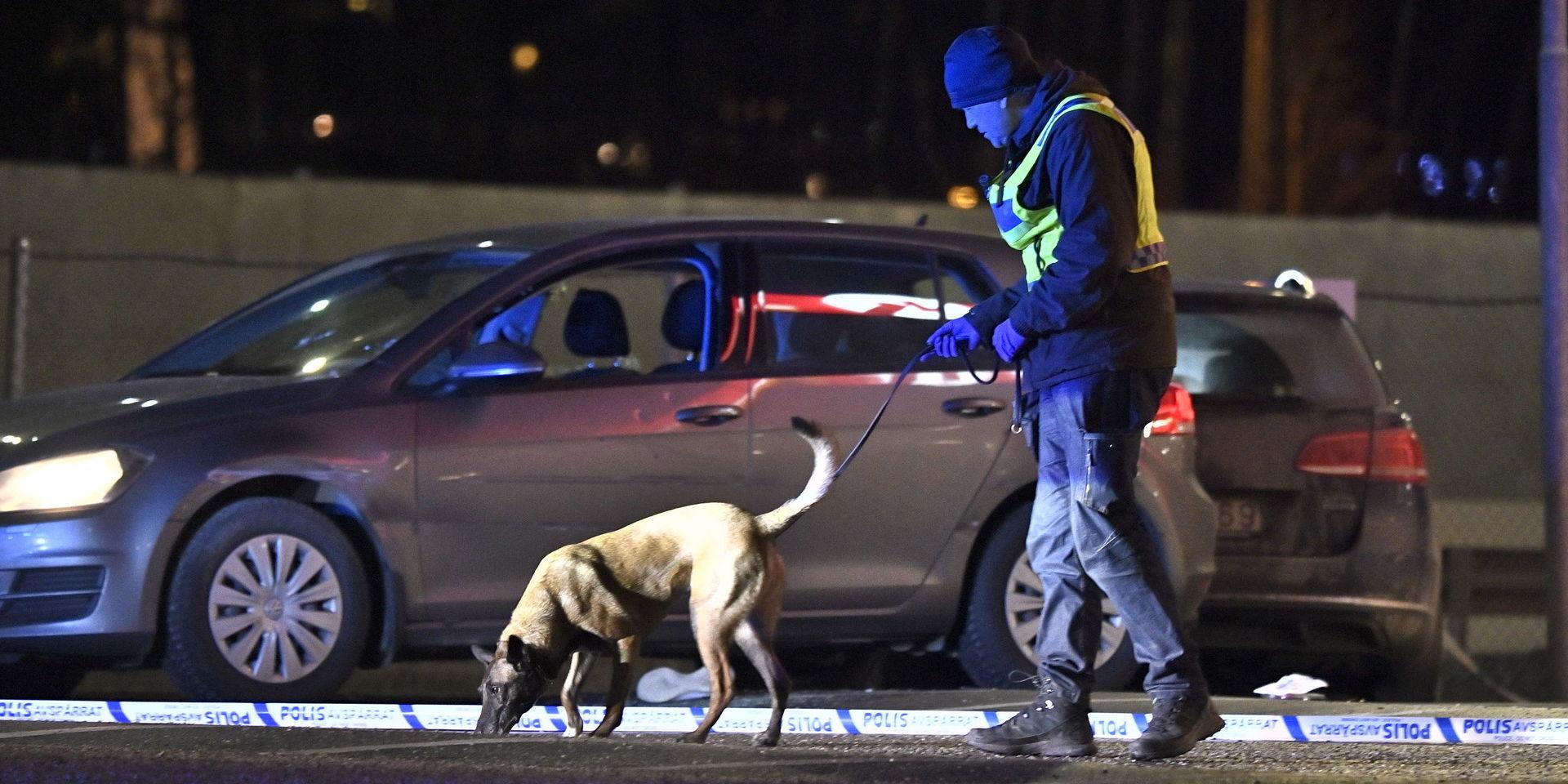 Polisen söker efter spår vid platsen för lördagens skottlossning i Kungens kurva sydväst om Stockholm.
