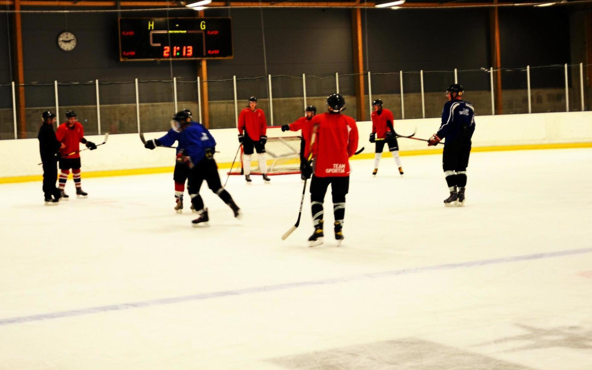 Falkenbergs hockeys seniorlag startade sin verksamhet igen förra året efter att ha legat nere sedan 2013. Men barn- och ungdomsverksamheten har varit igång hela tiden.