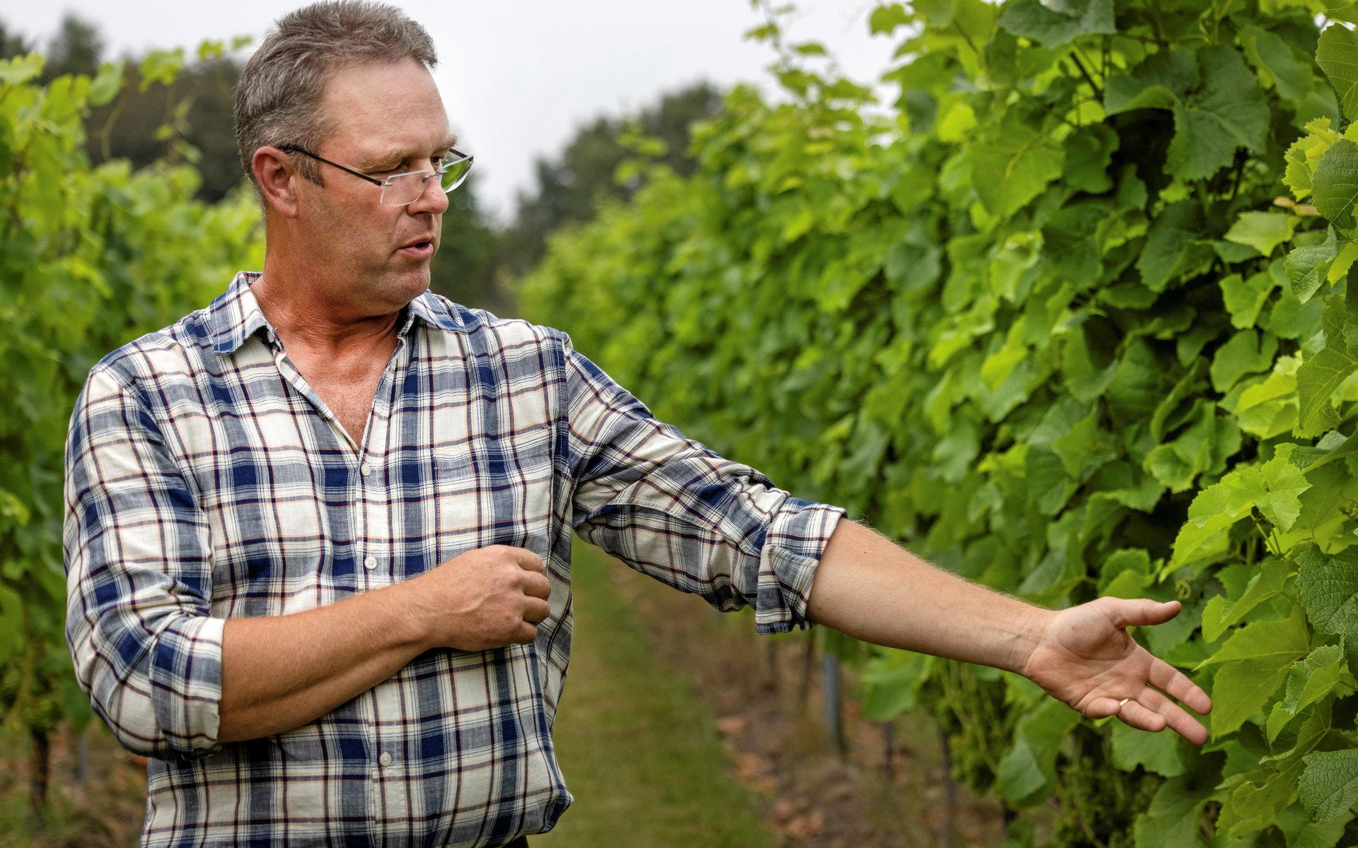Niclas Börjesson är nöjd med att ha lite lantbruk kvar på Annebergs gård i och med vinodlingen. En vinodlartraktor har nyss köpts in från Italien som ska kunna köra mellan raderna och göra arbetet lite lättare.