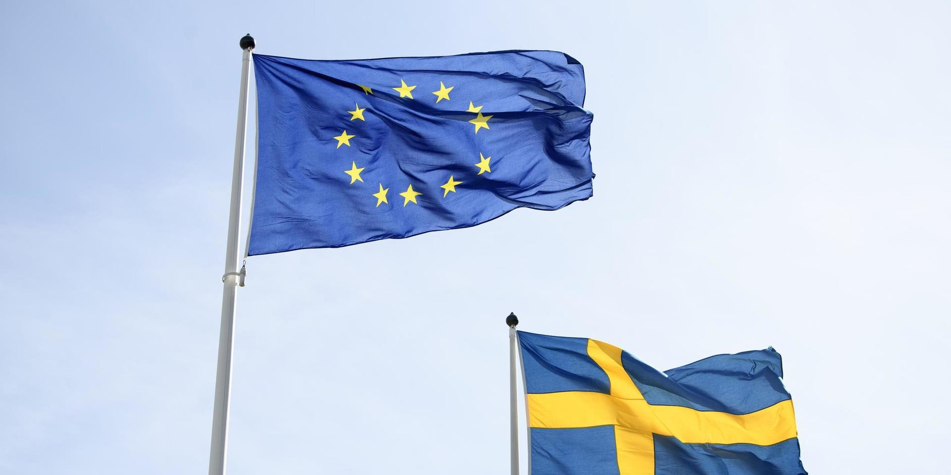 Svenska EU-vänner inte slå sig till ro.