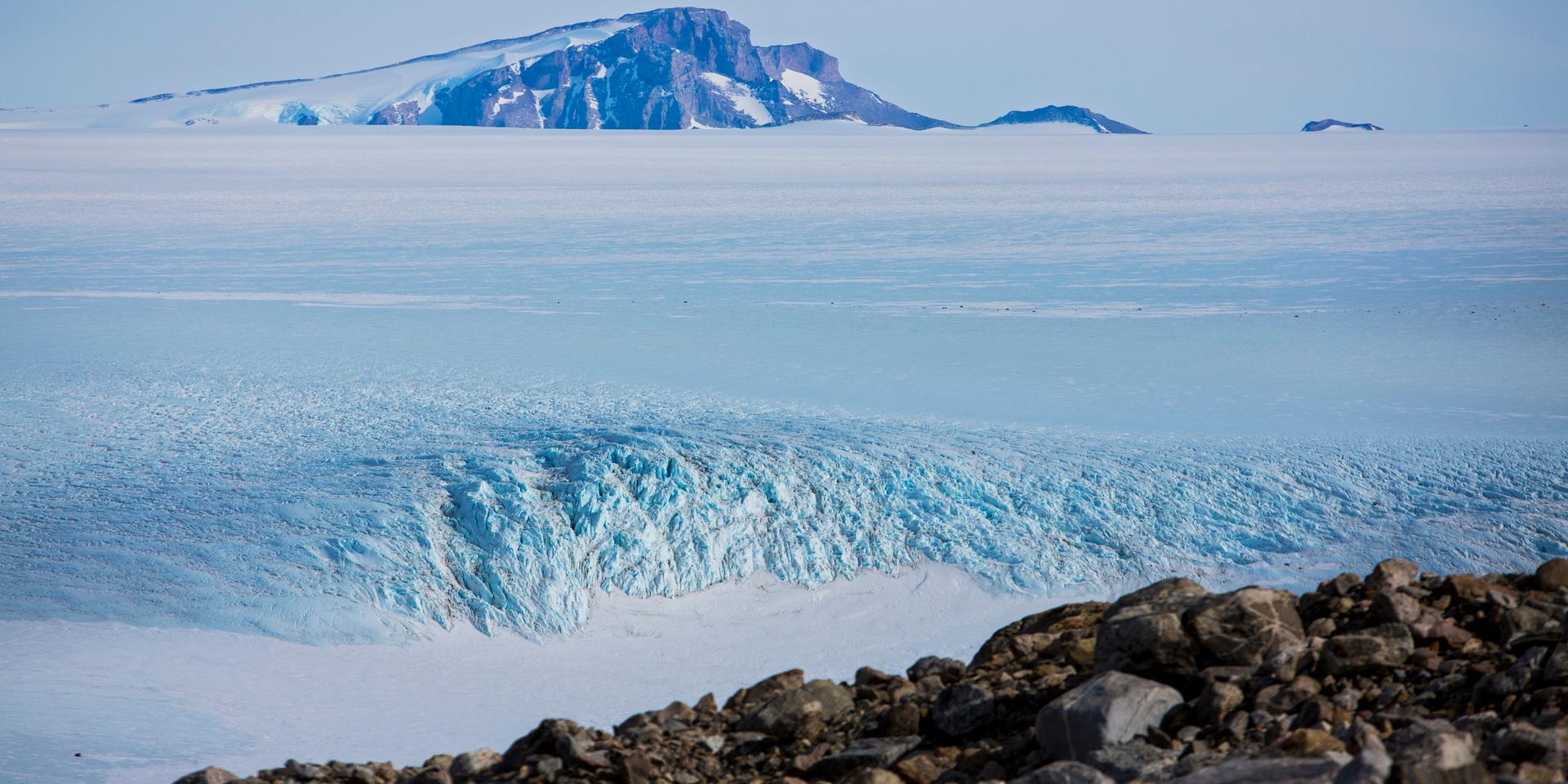Ismassorna i Arktis och Antarktis smälter i en rasande takt och om det får fortsätta kommer havsnivån att öka dramatiskt, skriver debattören.