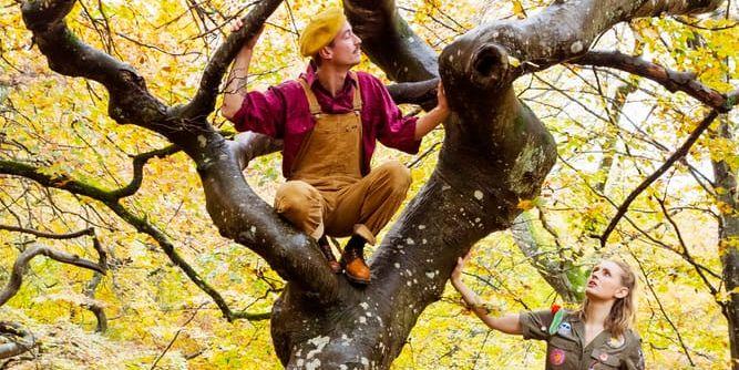 Den magiska ordboken mår inte bra. Löven - orden - faller av och Louisa Lyne och Jack Elz tar barnen till hjälp för att rädda trädet.