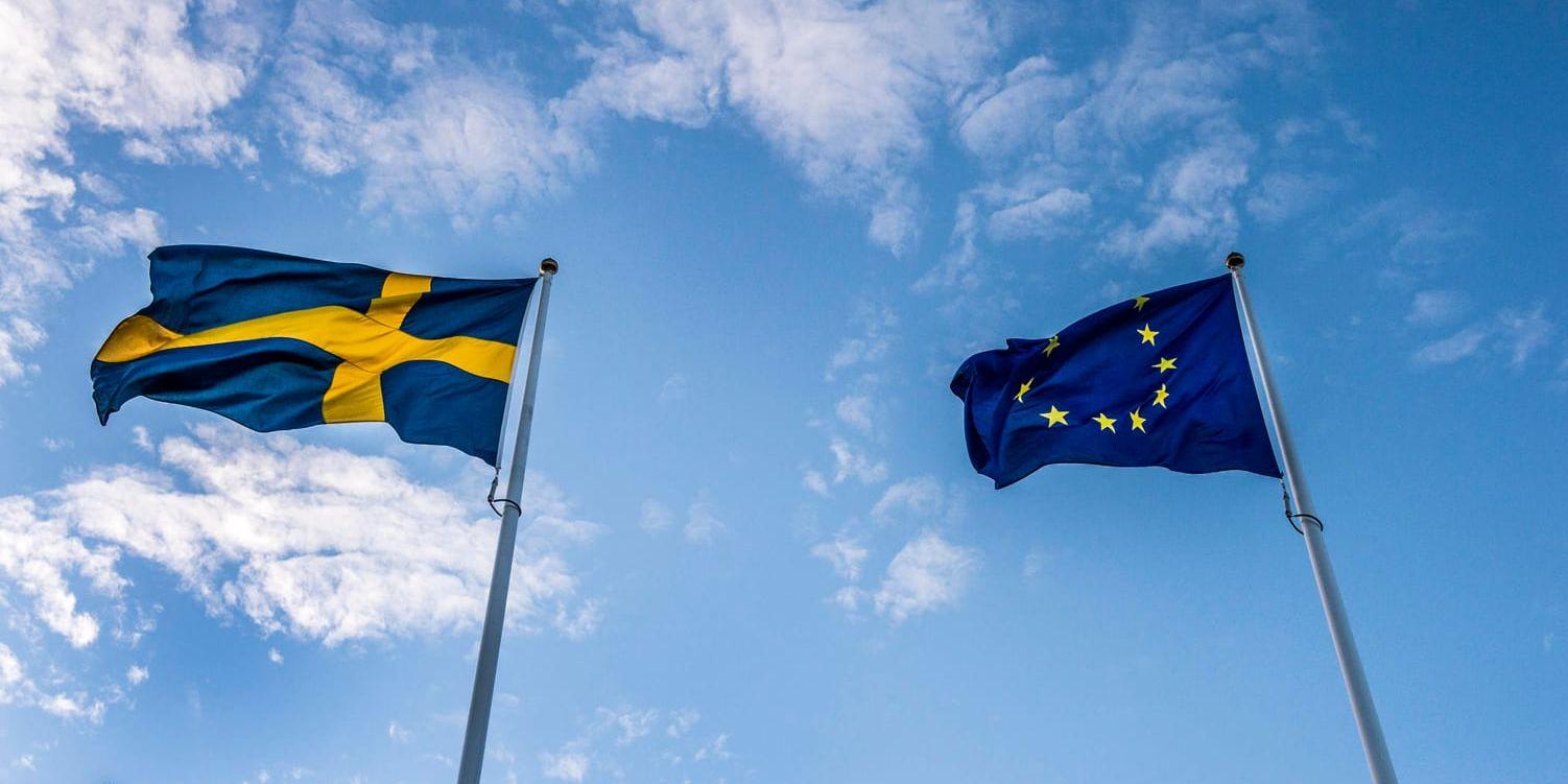 Svenska riksdagspartier har svårt att redovisa vad de tycker i EU-frågor. Arkivbild.