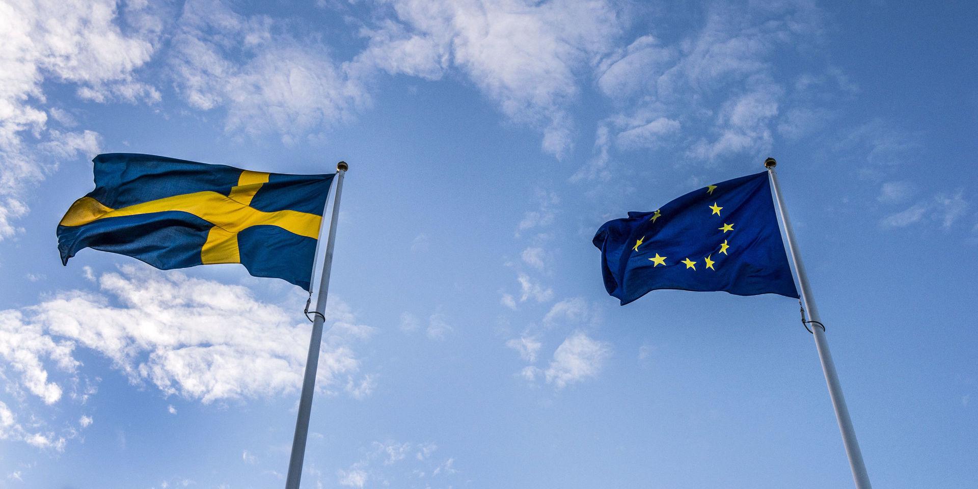 Eftersom EU-valet är i antågande är frågan om det svenska EU-medlemskapet återigen aktuell. 