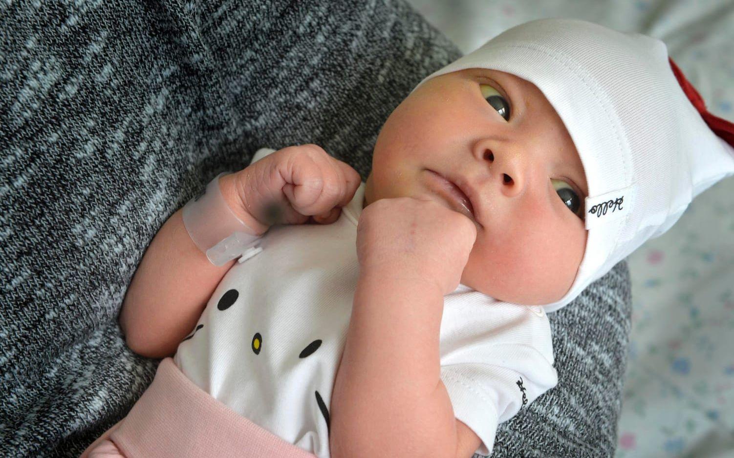 Mikael Krantz och Katrin Perssons dotter är en rekordmånga bebisar som fötts på Varberg BB i sommar.