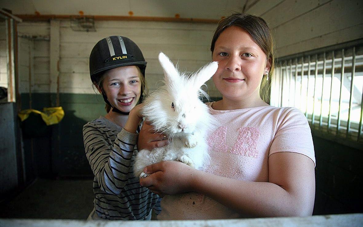 Izabelle Bertilsson och Matilda Ericsson pysslade om en bortsprungen kanin som kom skuttande.