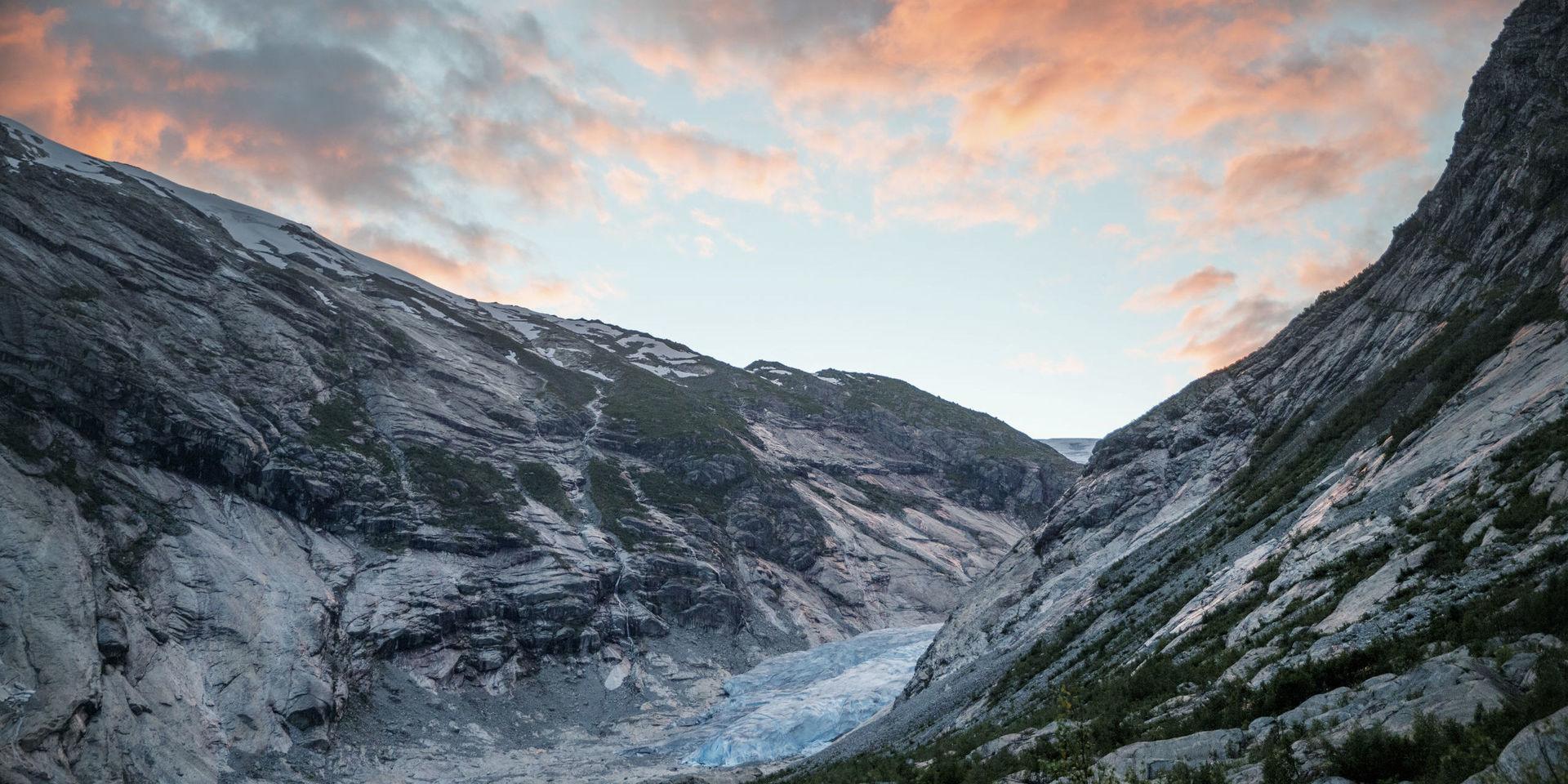 Isen drar sig tillbaka på Nigardsbreen, en av de armar som sträcker sig ut från den norska glaciären Jostedalsbreen På lite drygt hundra år har Nigardsbreen blivit 2,6 kilometer kortare